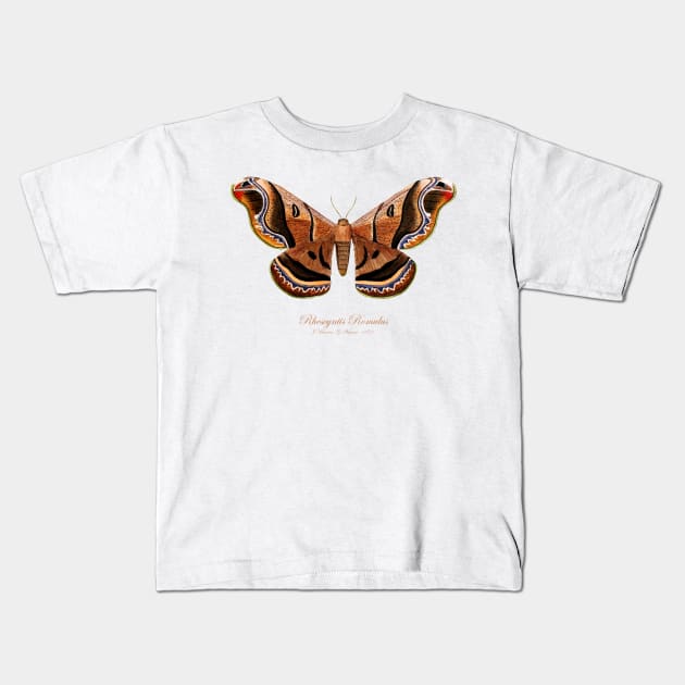 Moth - Giant Silk Moth, Rhescyntis Romulus, Rhescyntis Romulus Maassen, Caio Romulus Kids T-Shirt by SPJE Illustration Photography